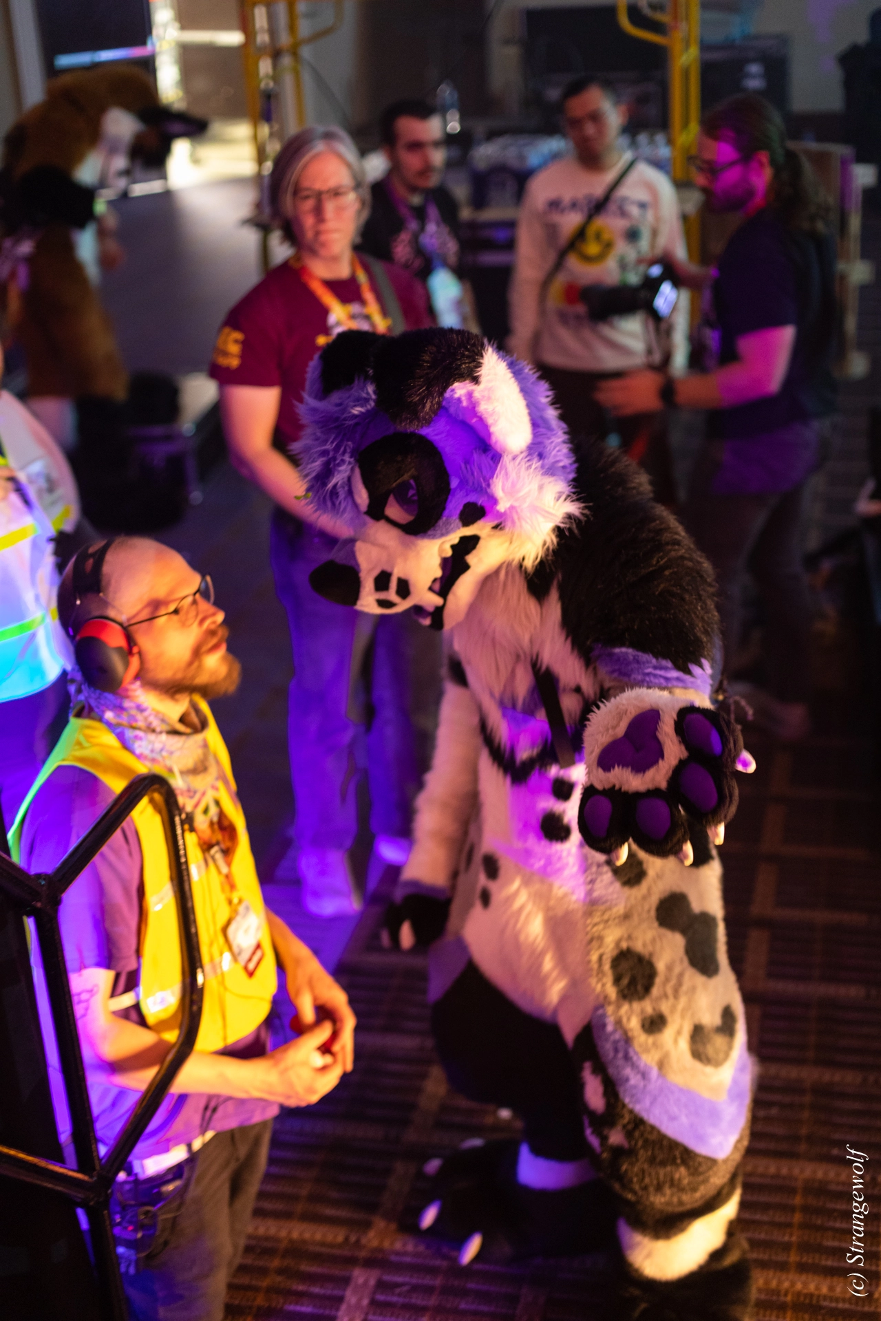 full image 1R3A0708-lr19t.jpg