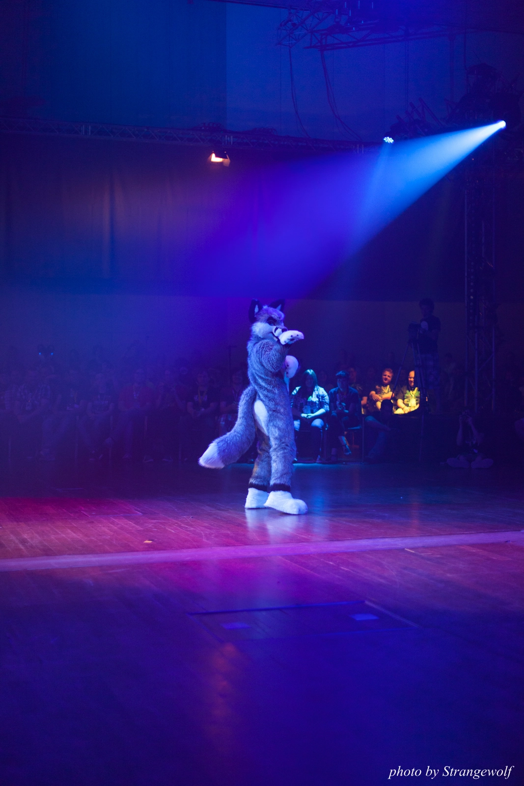 full image IMG_2911-lr16t.jpg