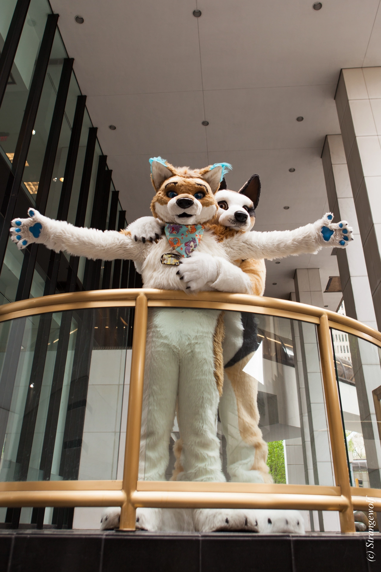 full image IMG_1713-lr19t.jpg