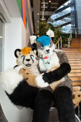 IMG_8777-lr19t.jpg of NFC/NFC2019/