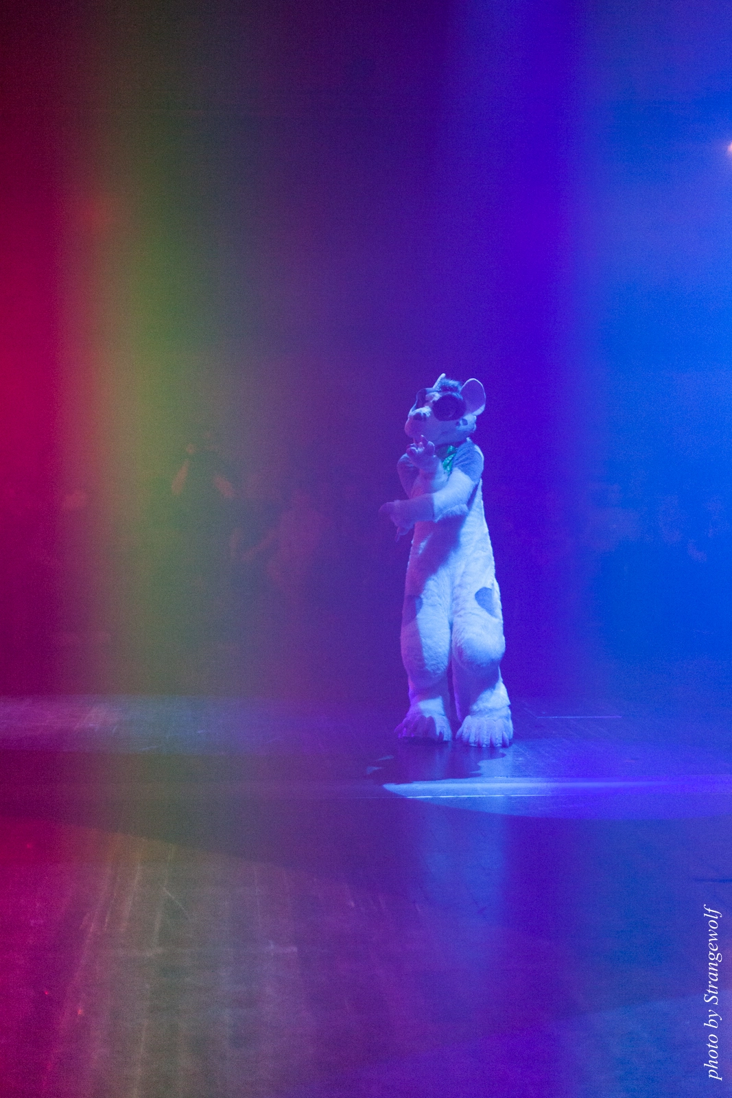 full image IMG_2412-lr16t.jpg