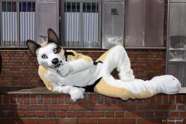 1R3A2590-lr19t.jpg of Furstrike/Furstrike 2022/