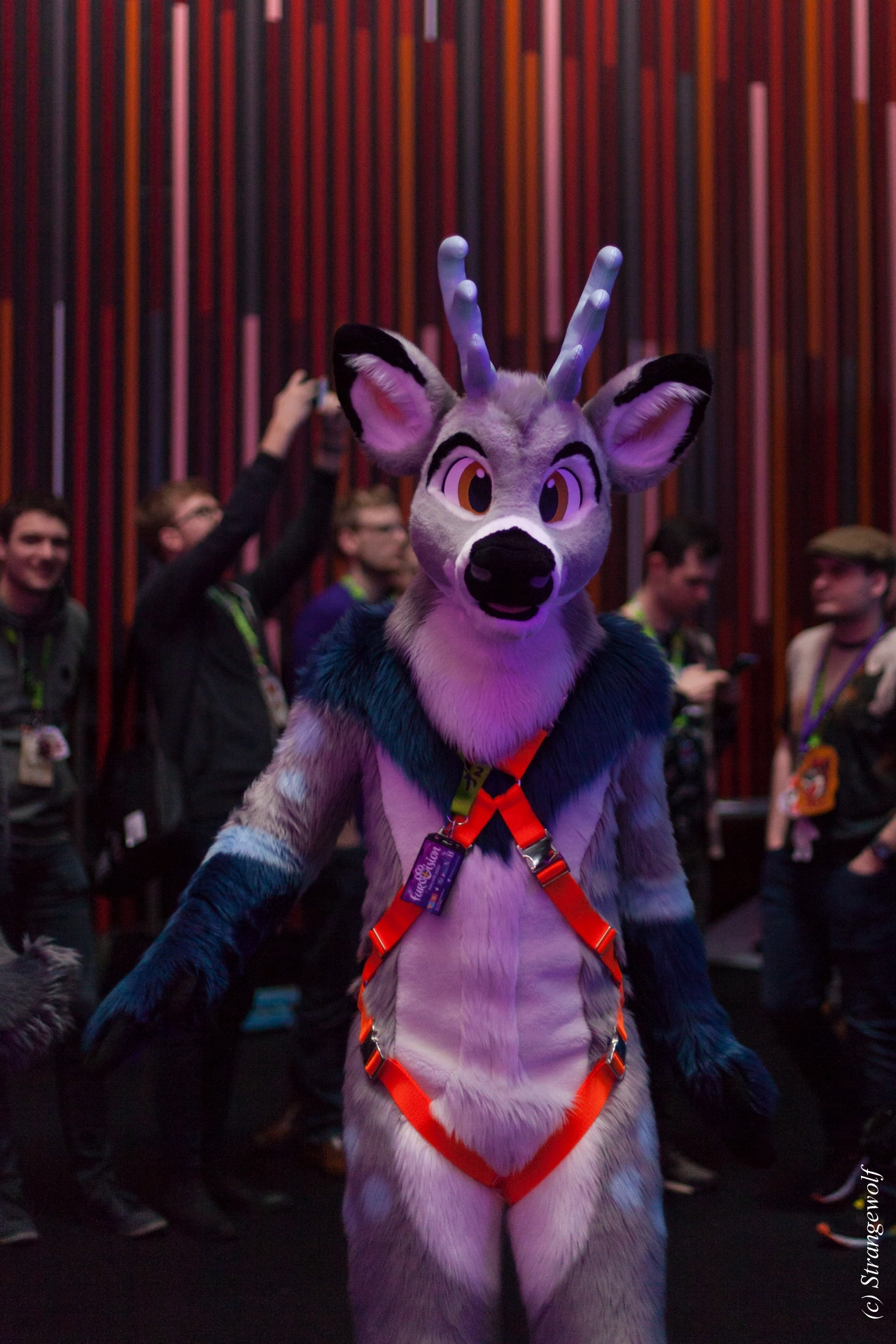 full image IMG_9200-lr19t.jpg