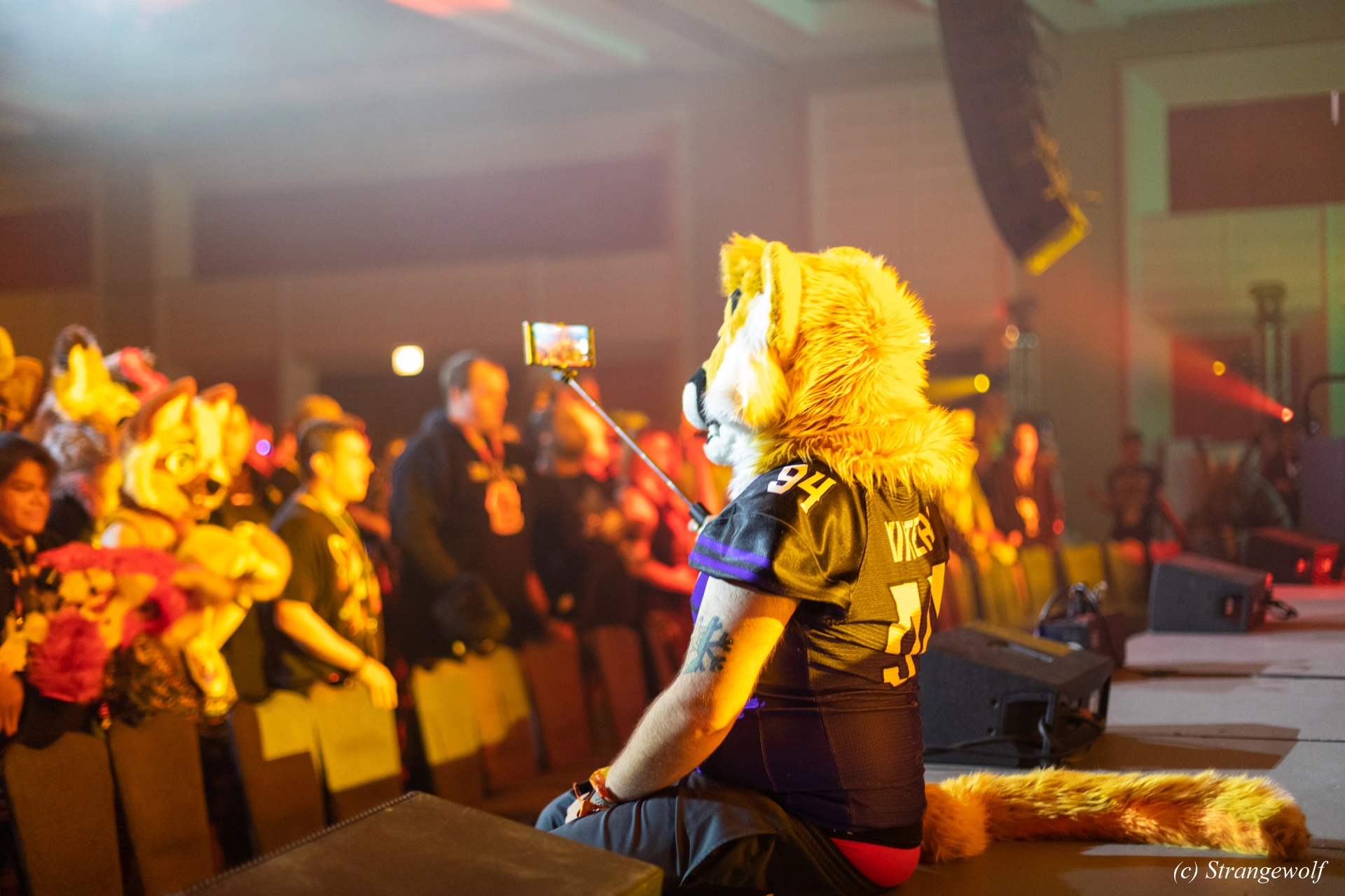 full image 1R3A0608-lr19t.jpg