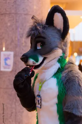 IMG_2153-lr16t.jpg of NFC/NFC2017/