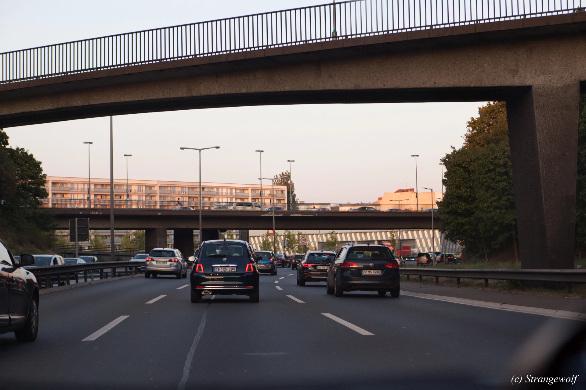 full image IMG_4708-lr19t.jpg