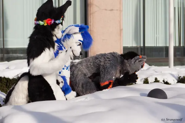 IMG_9986-lr19t.jpg of NFC/NFC2018/