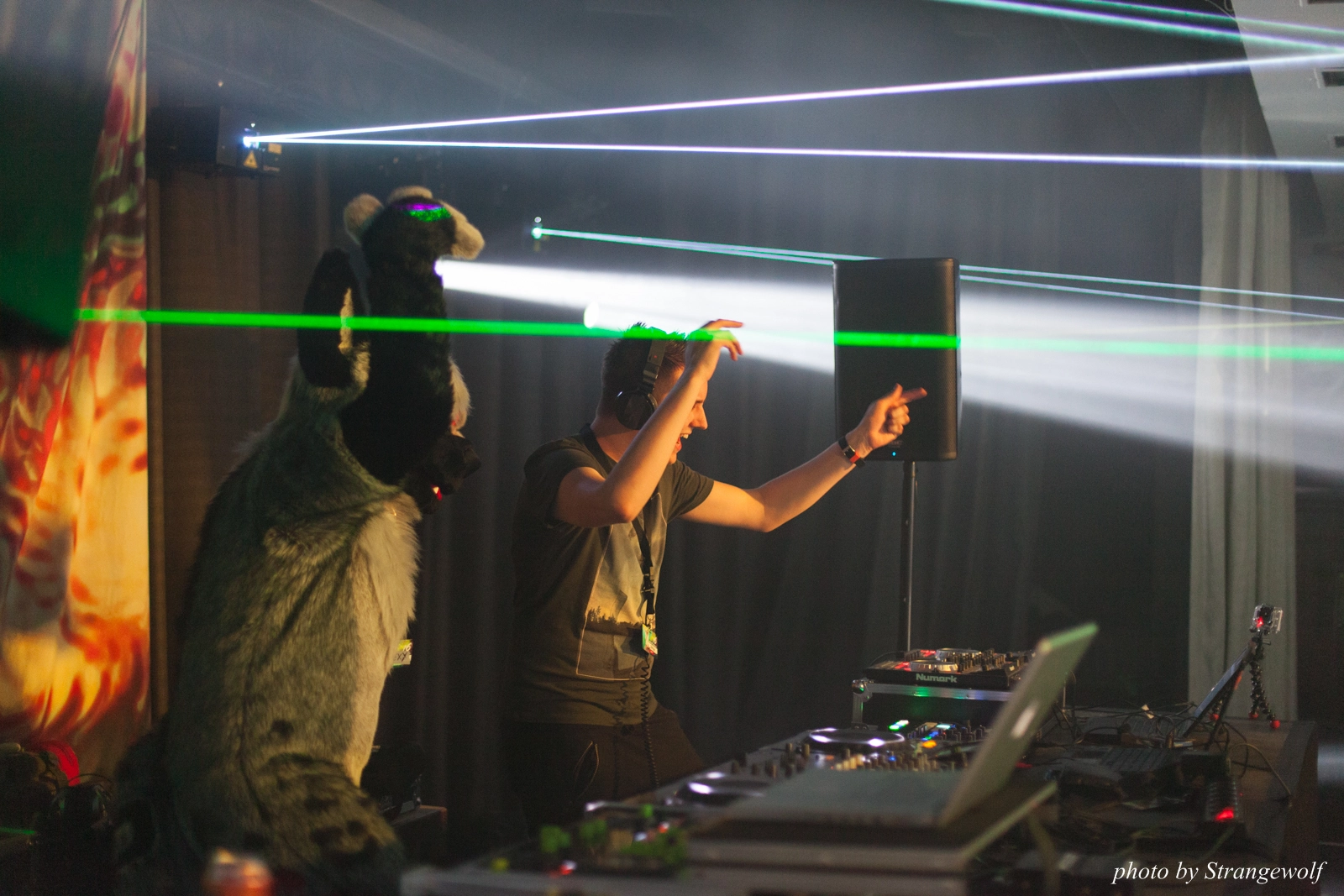 full image IMG_8676-lr16t.jpg