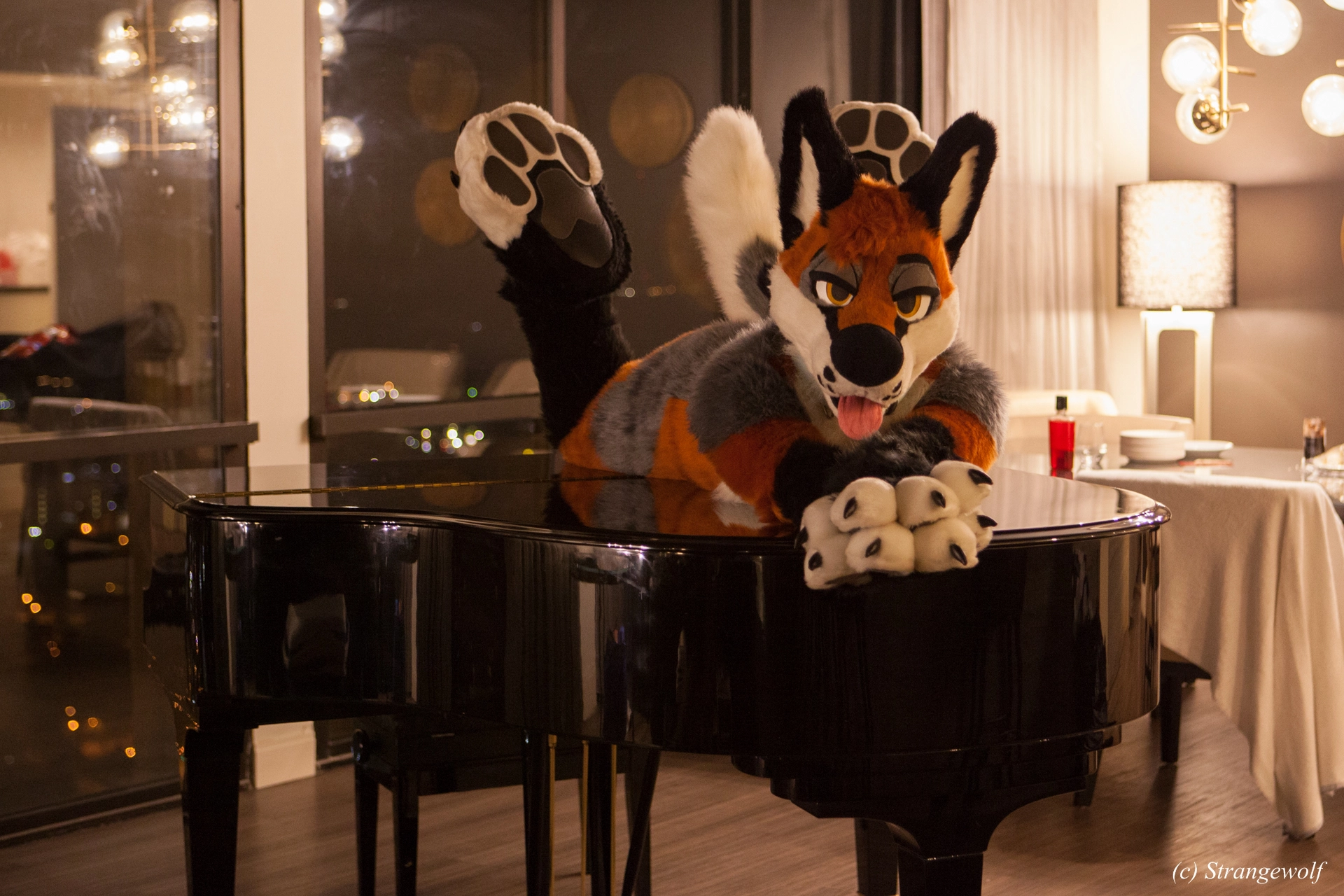 full image IMG_2221-lr19t.jpg