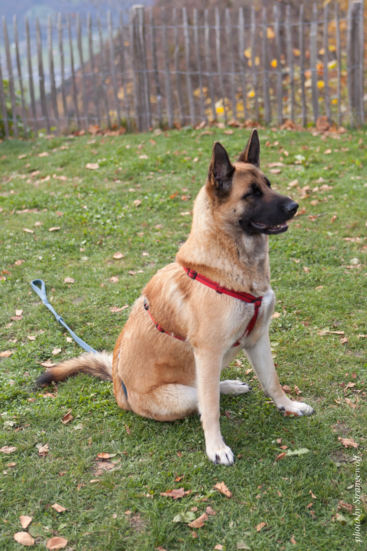 full image IMG_7970-lr19t.jpg