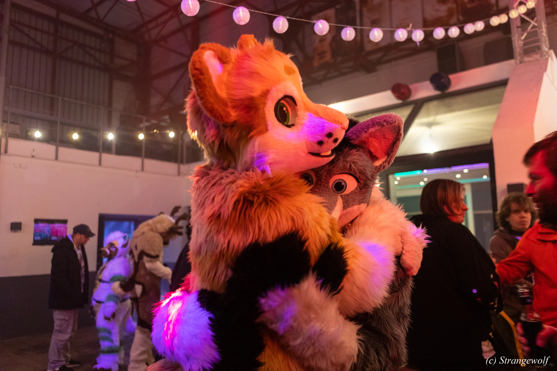 full image 1R3A3317-lr19t.jpg