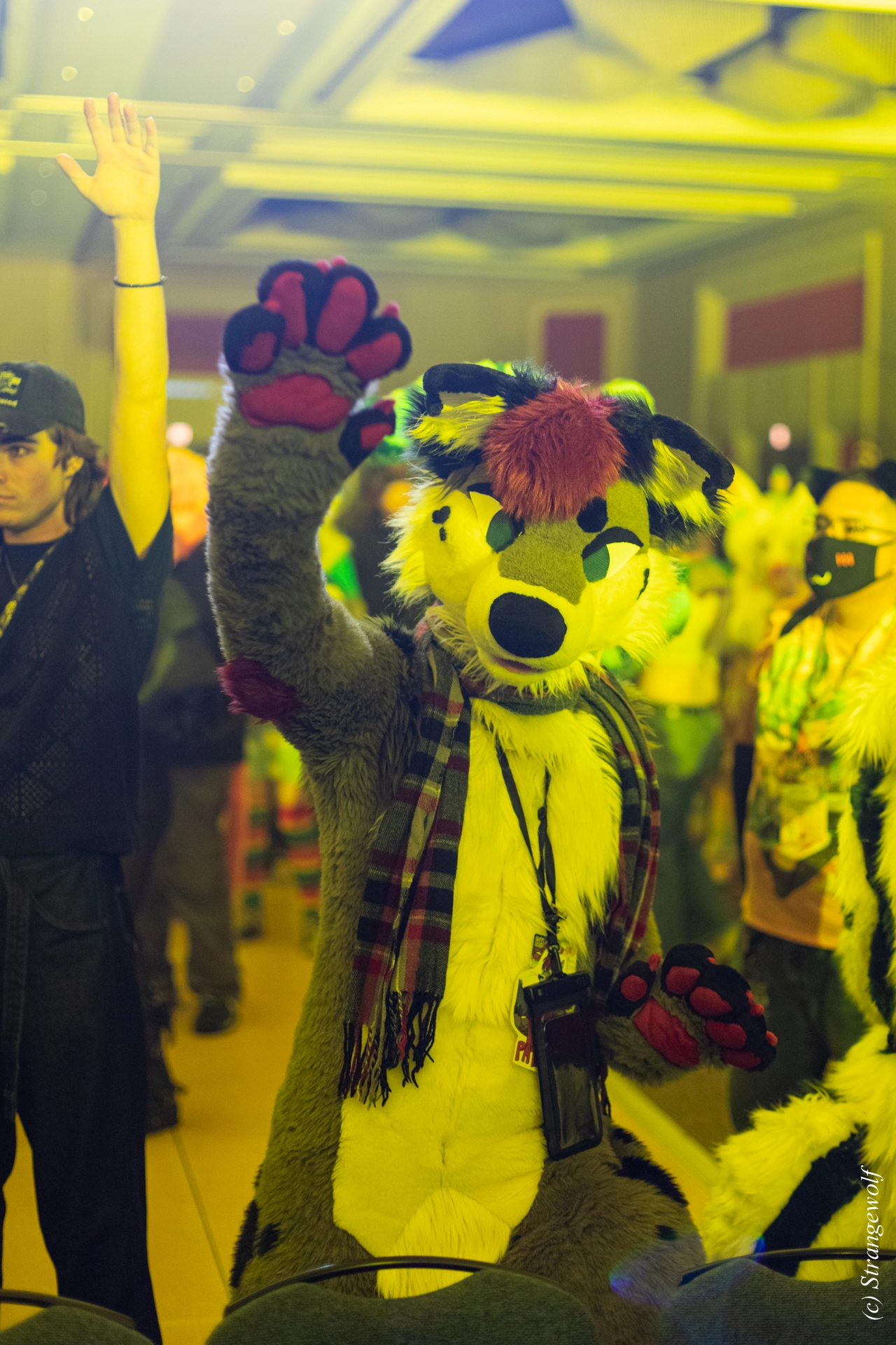 full image 1R3A0458-lr19t.jpg