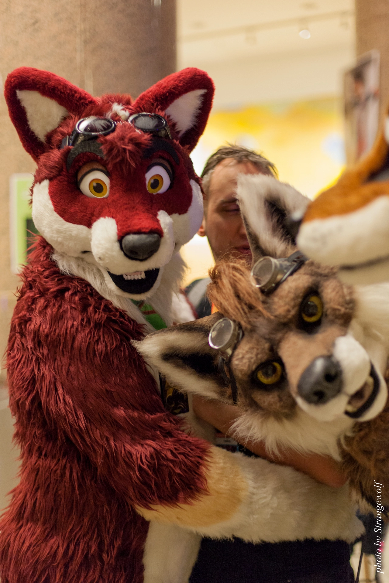 full image IMG_9367-lr19t.jpg