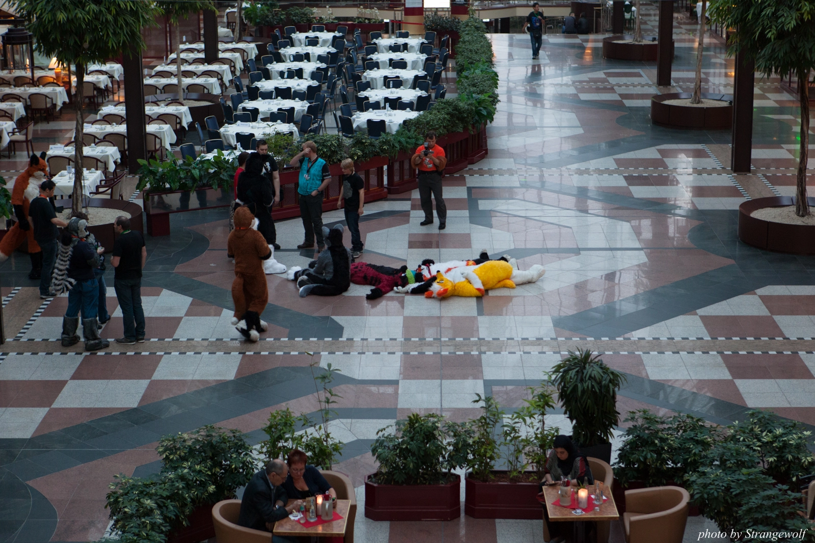 full image IMG_1198-lr16t.jpg