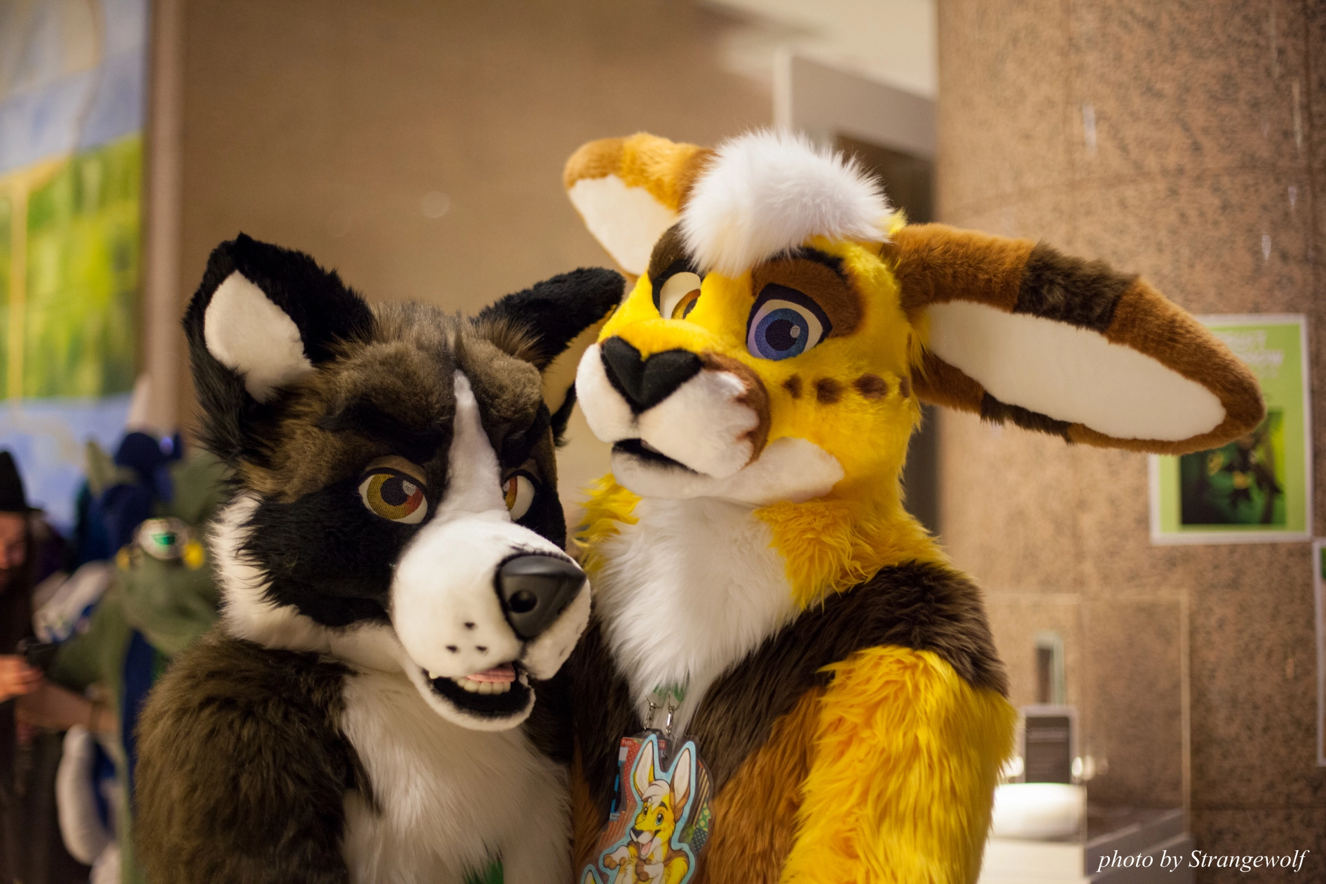 full image IMG_9358-lr19t.jpg