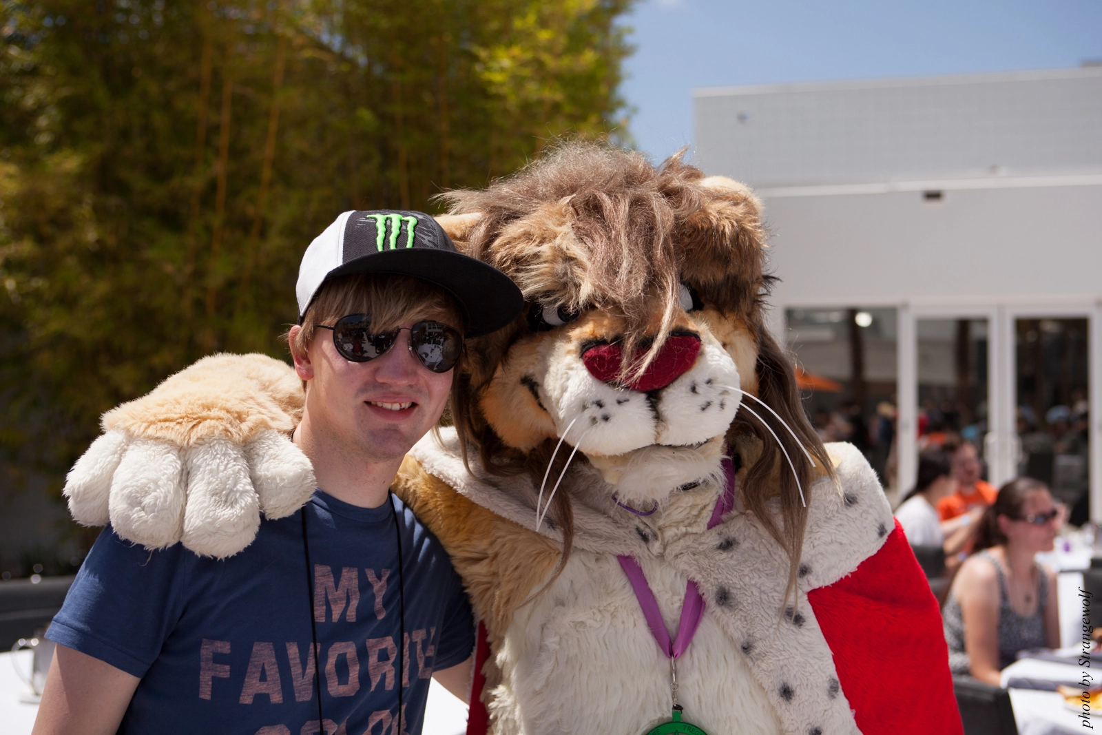 full image IMG_8817-lr16t.jpg