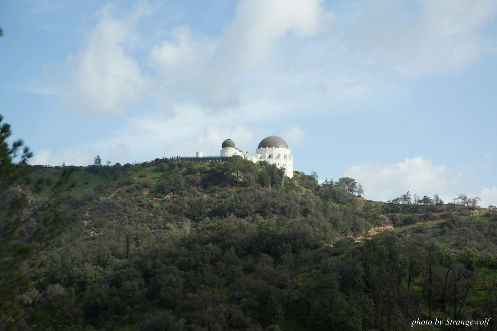 full image IMG_0952-lr16t.jpg