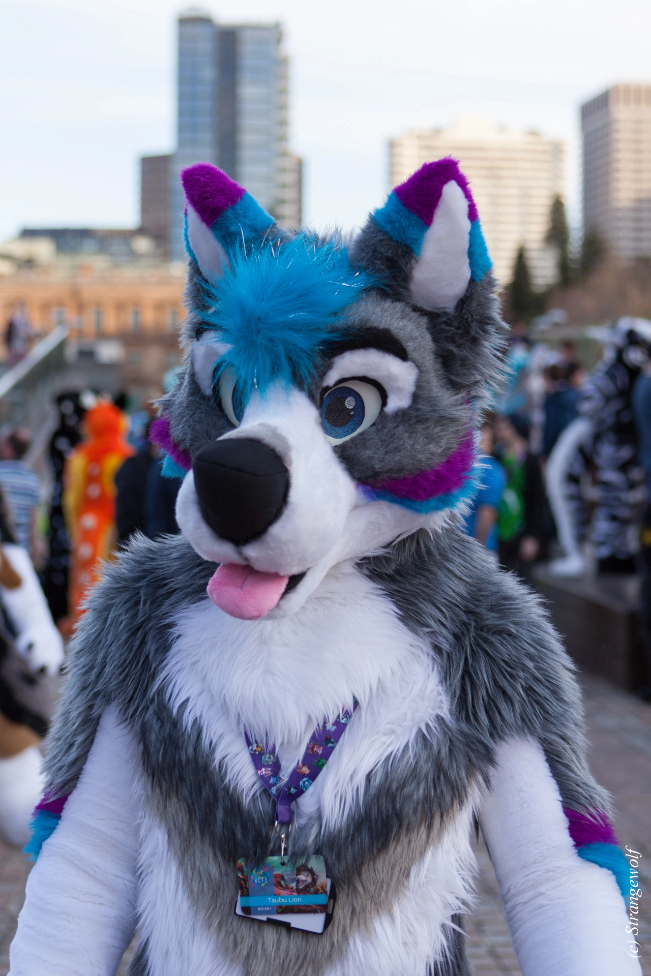 full image IMG_4643-lr19t.jpg