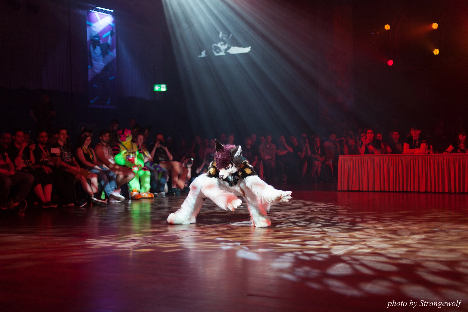 full image IMG_9393-lr16t.jpg