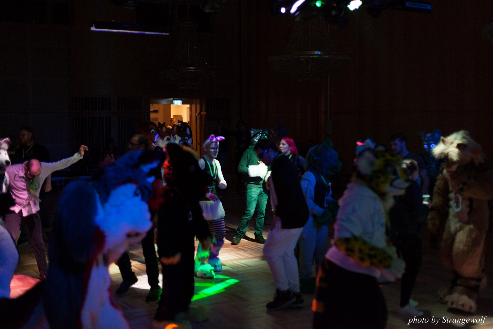 full image IMG_1811-lr16t.jpg