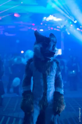 IMG_8053-lr19t.jpg of MFF/MFF2019/