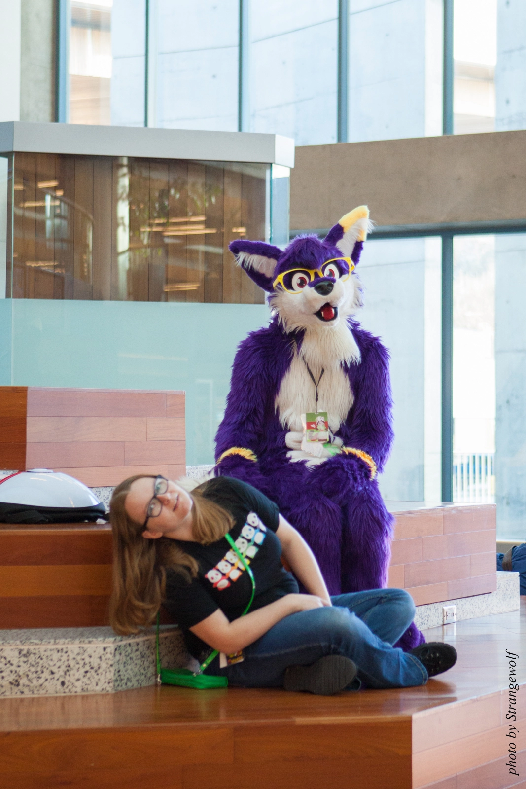 full image IMG_1026-lr16t.jpg