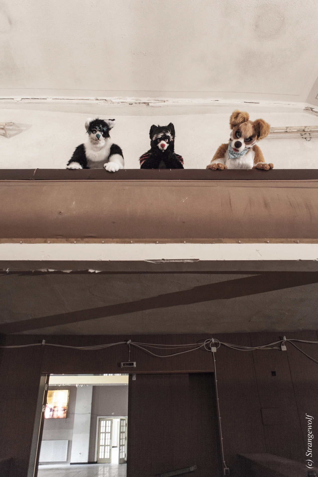full image IMG_5894-lr19t.jpg