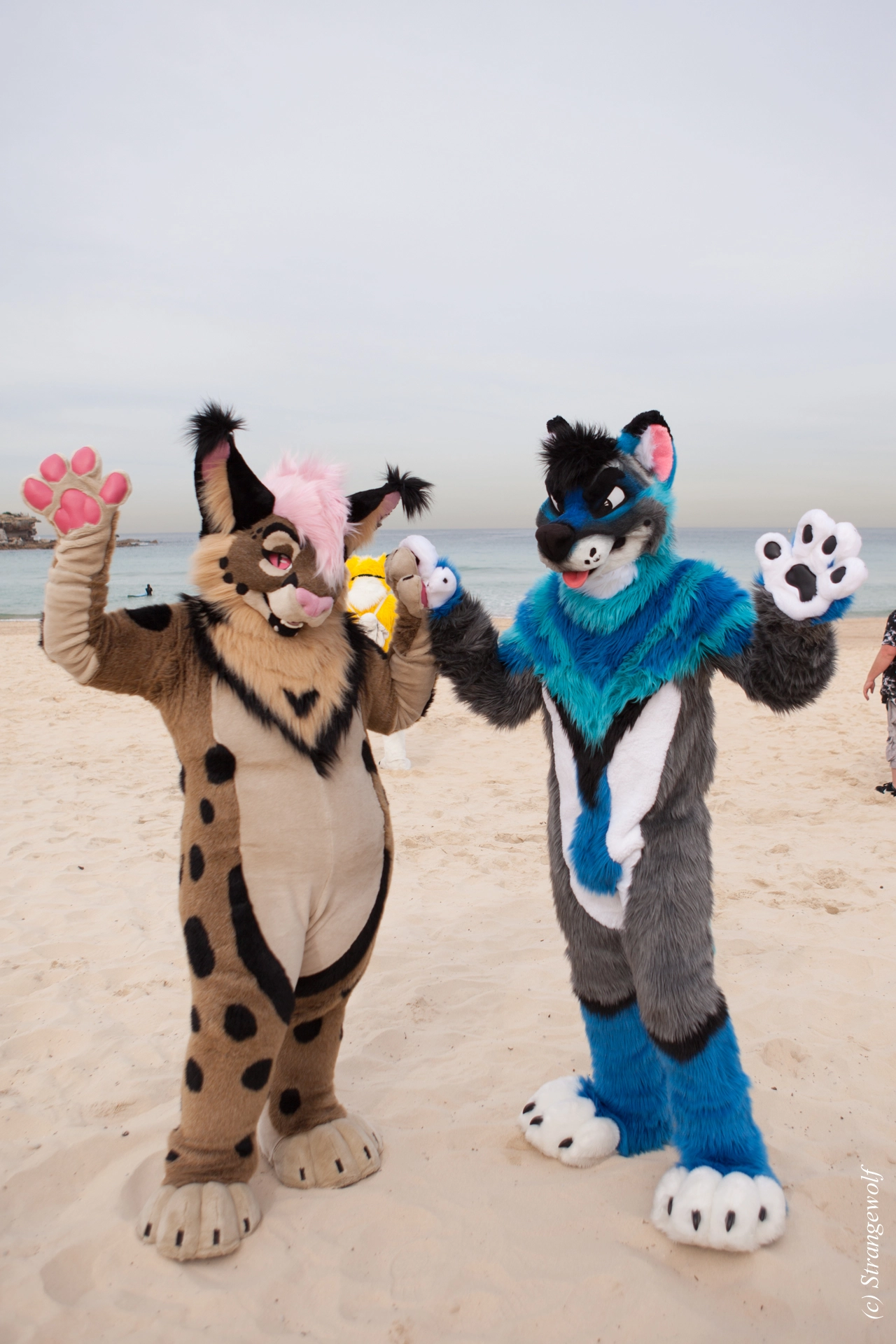 full image IMG_4464-lr19t.jpg