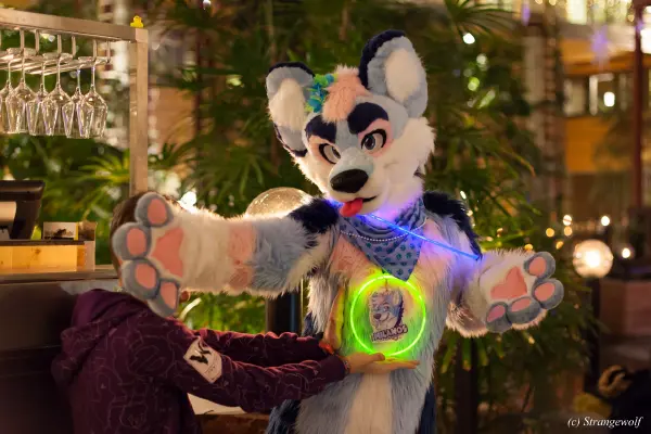 IMG_9832-lr19t.jpg of NFC/NFC2019/