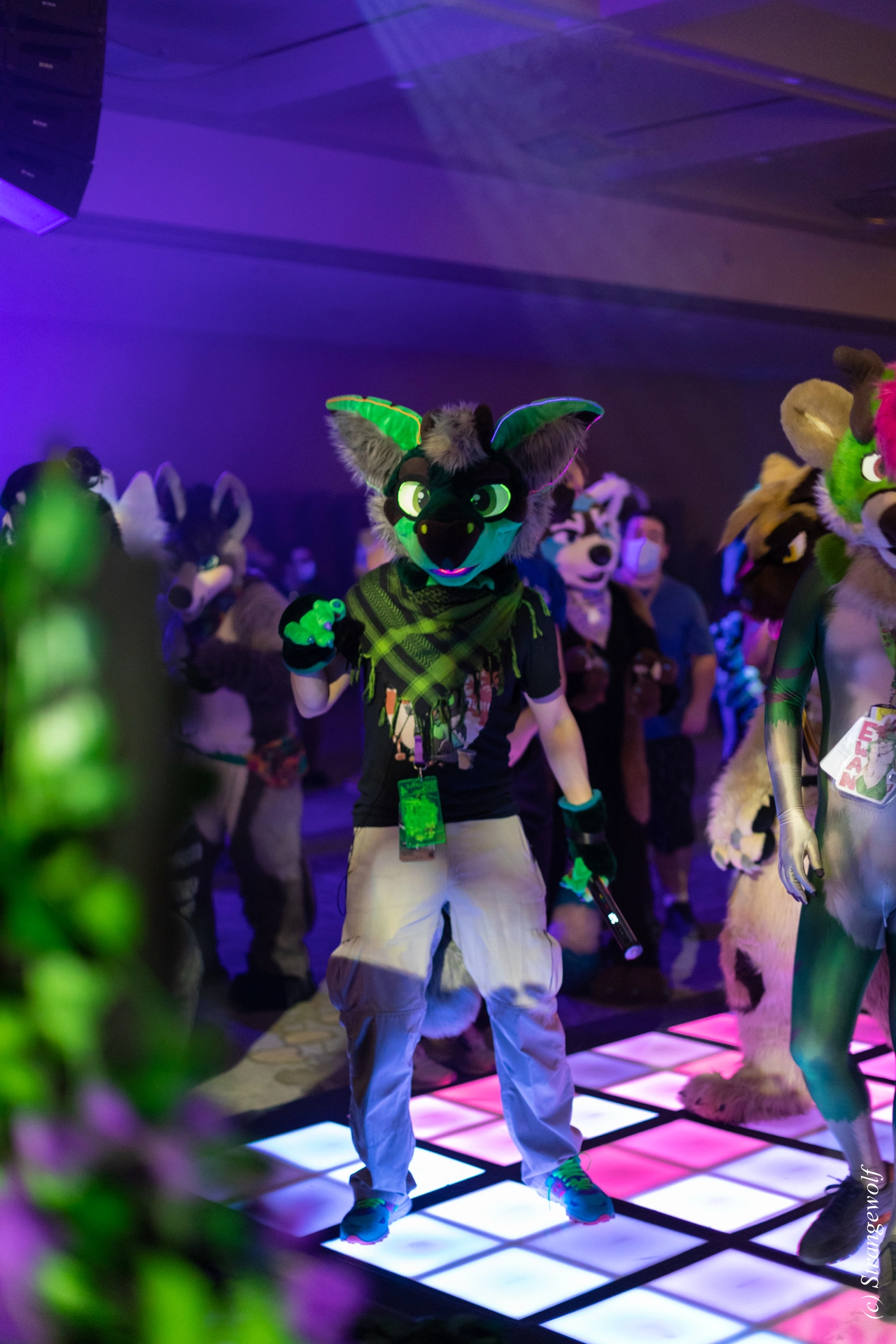 full image 1R3A0772-lr19t.jpg