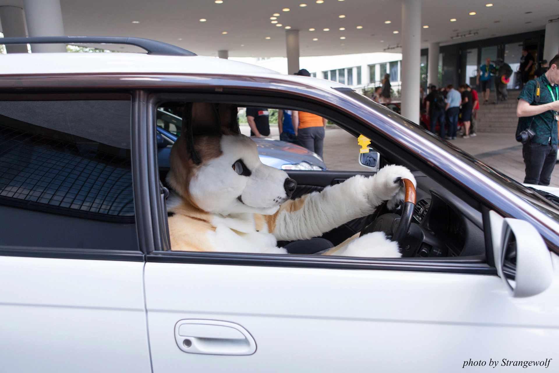 full image IMG_6847-lr19t.jpg