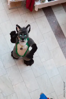 IMG_1533-lr16t.jpg of NFC/NFC2017/