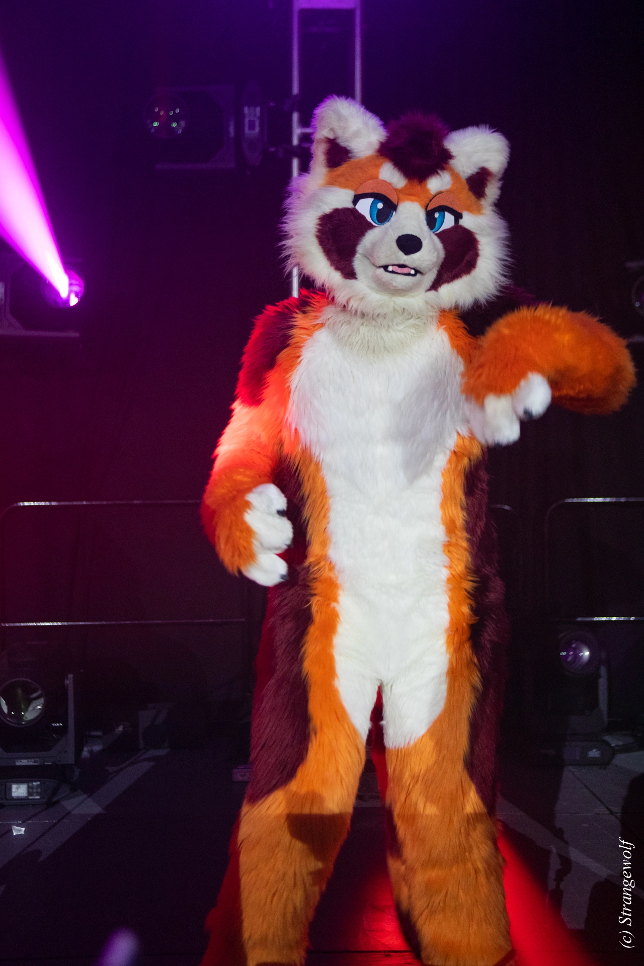 full image 1R3A0892-lr19t.jpg