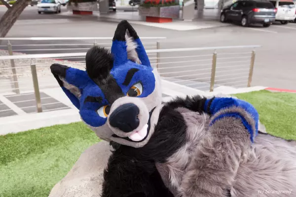 IMG_2815-lr19t.jpg of BLFC/2019/Fotoshoot-Slate/