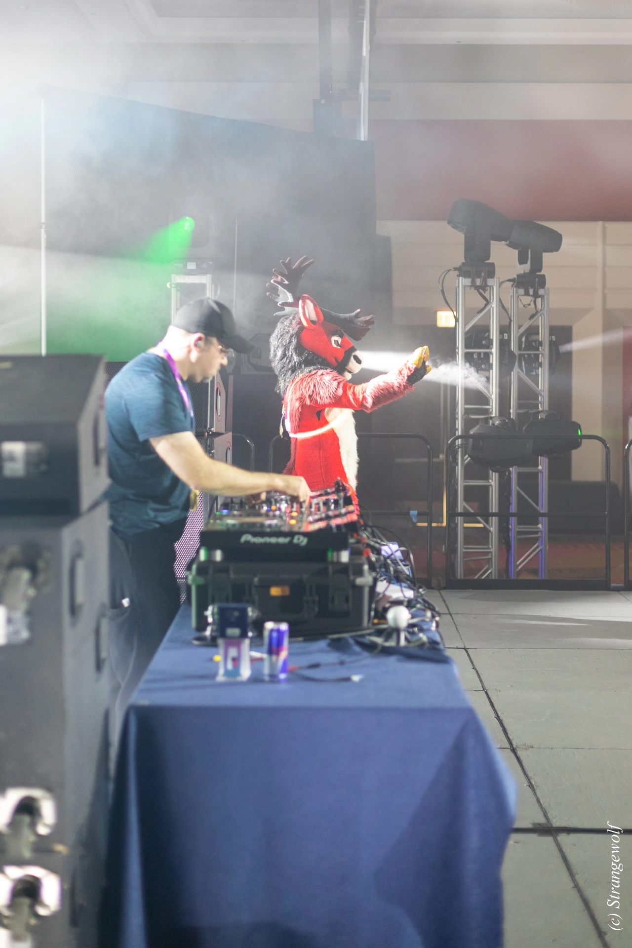 full image 1R3A0378-lr19t.jpg