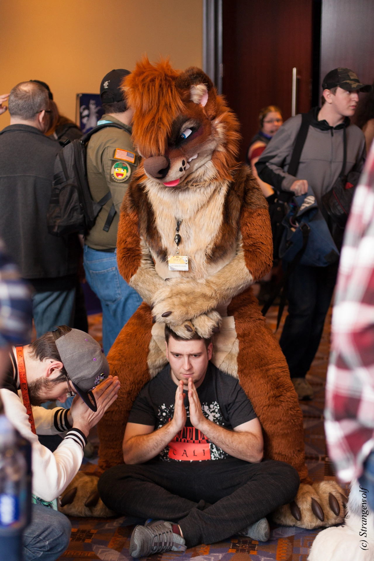full image IMG_7644-lr19t.jpg