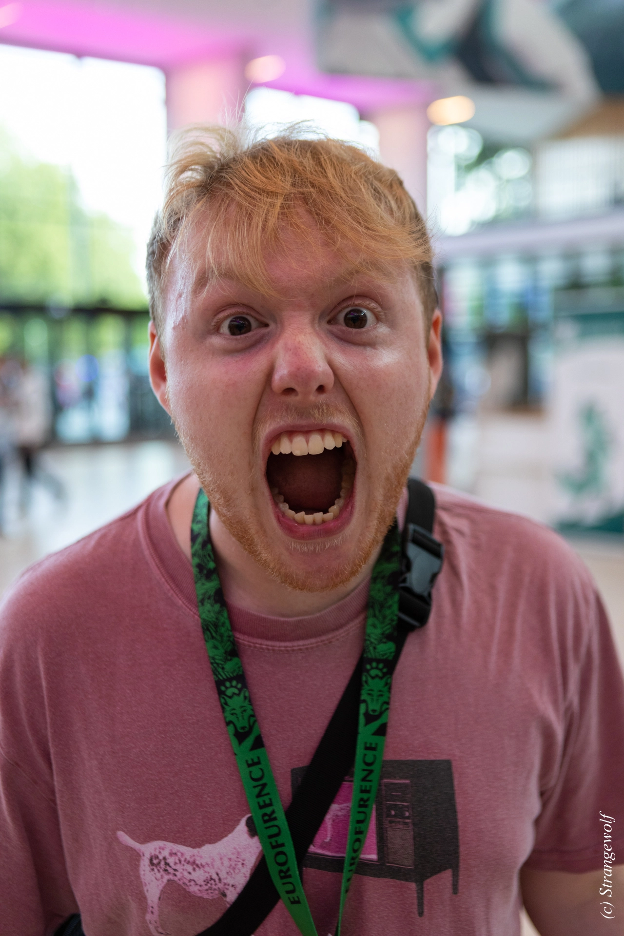 full image 1R3A9050-lr19t.jpg