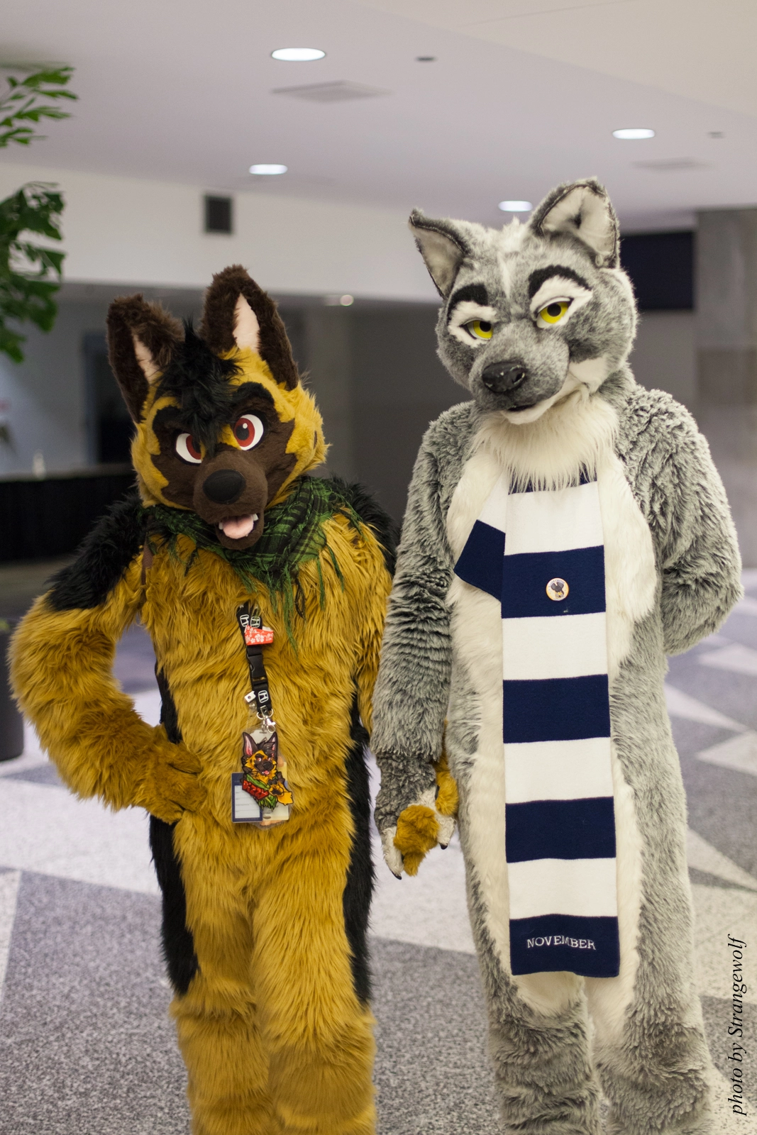 full image IMG_1256-lr16t.jpg