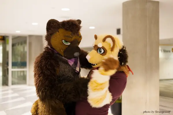 IMG_1103-lr16t.jpg of FC/FC2017/