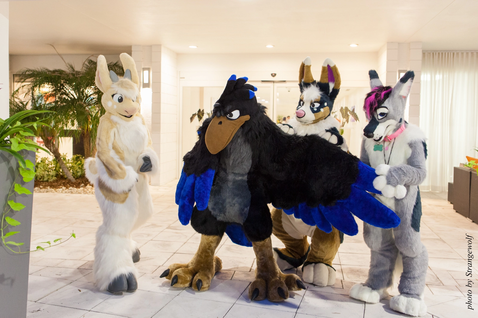 full image IMG_8444-lr16t.jpg