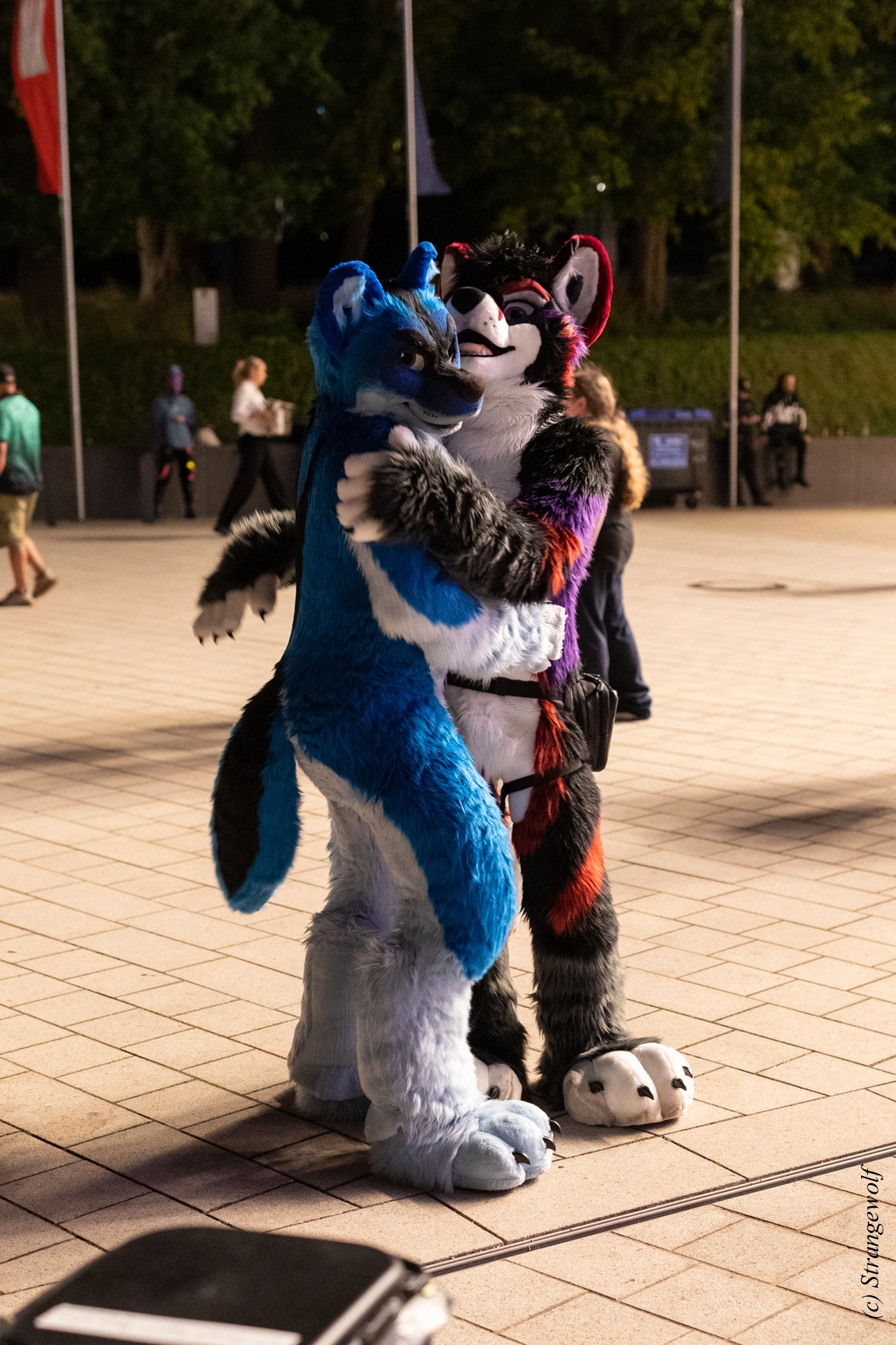 full image 1R3A9522-lr19t.jpg