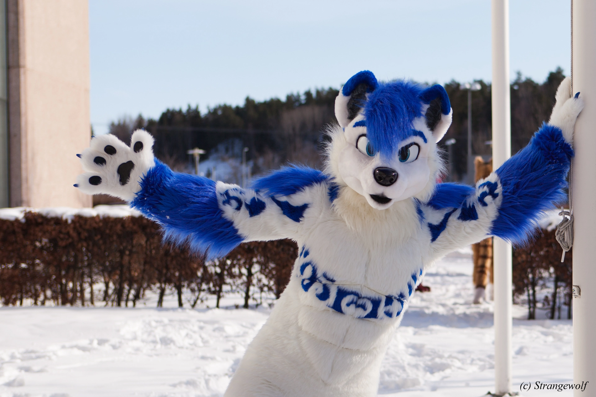 full image IMG_9832-lr19t.jpg