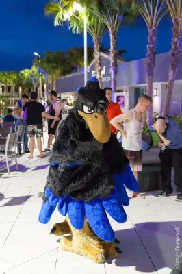 IMG_8495-lr16t.jpg of ESG/ESG2015/