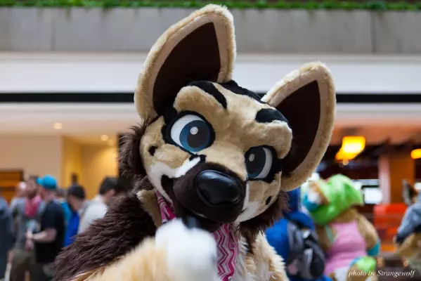 IMG_0672-lr16t.jpg of MFF/MFF2016/