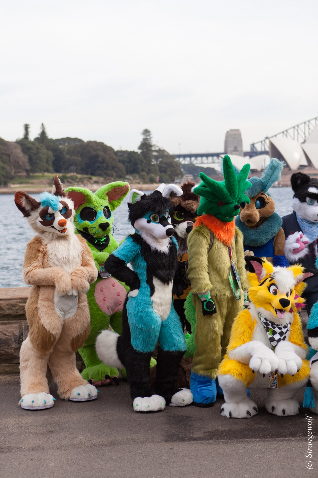 full image IMG_4273-lr19t.jpg