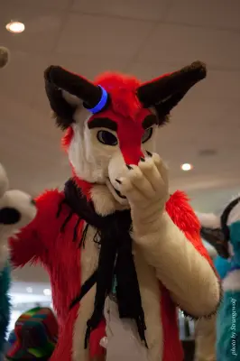 IMG_7400-lr16t.jpg of CFZ/CFZ2016/