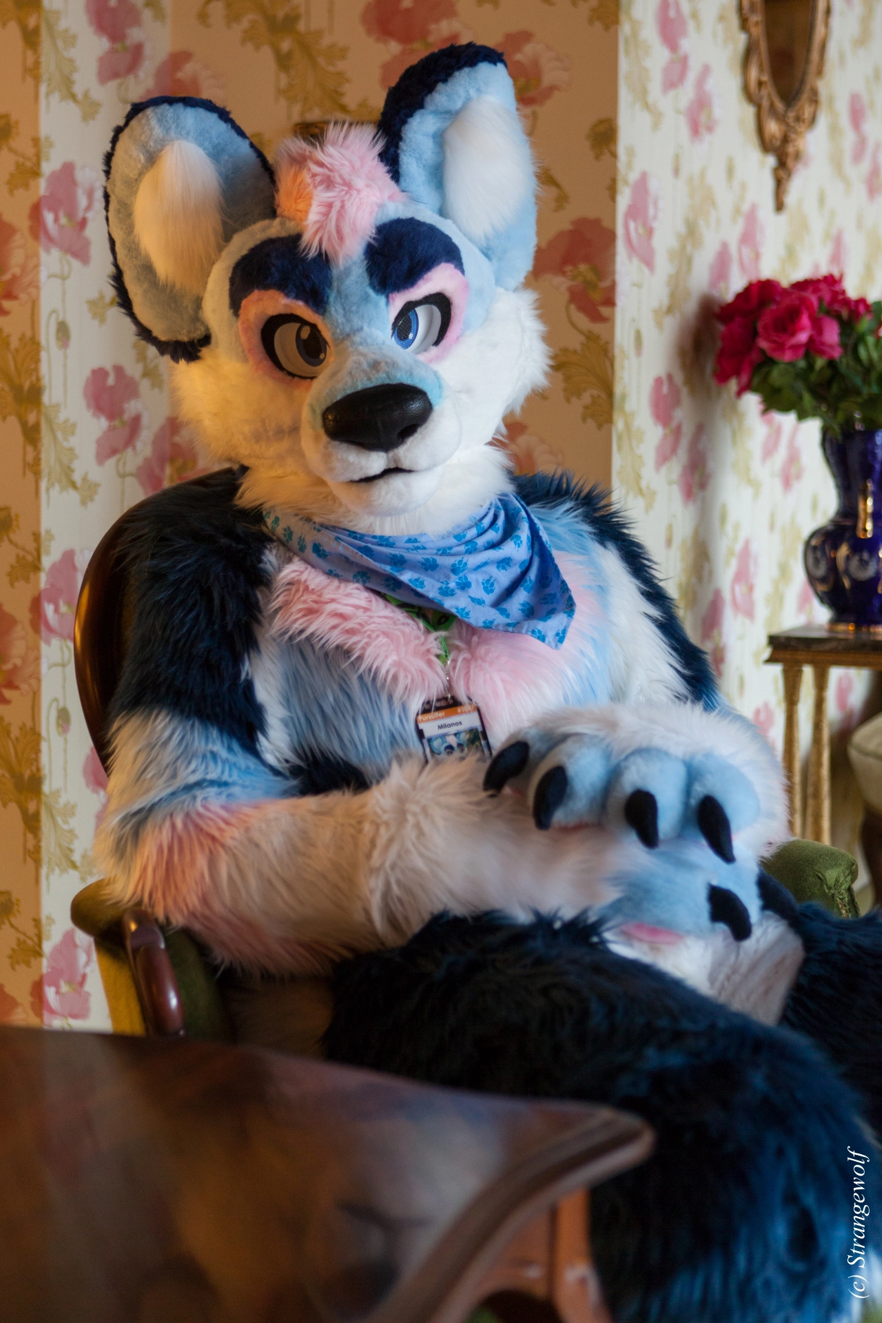 full image IMG_8439-lr19t.jpg