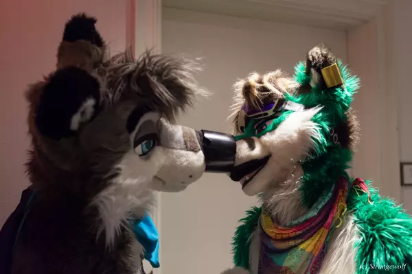 IMG_3623-lr.jpg of ANE/ANE2022/