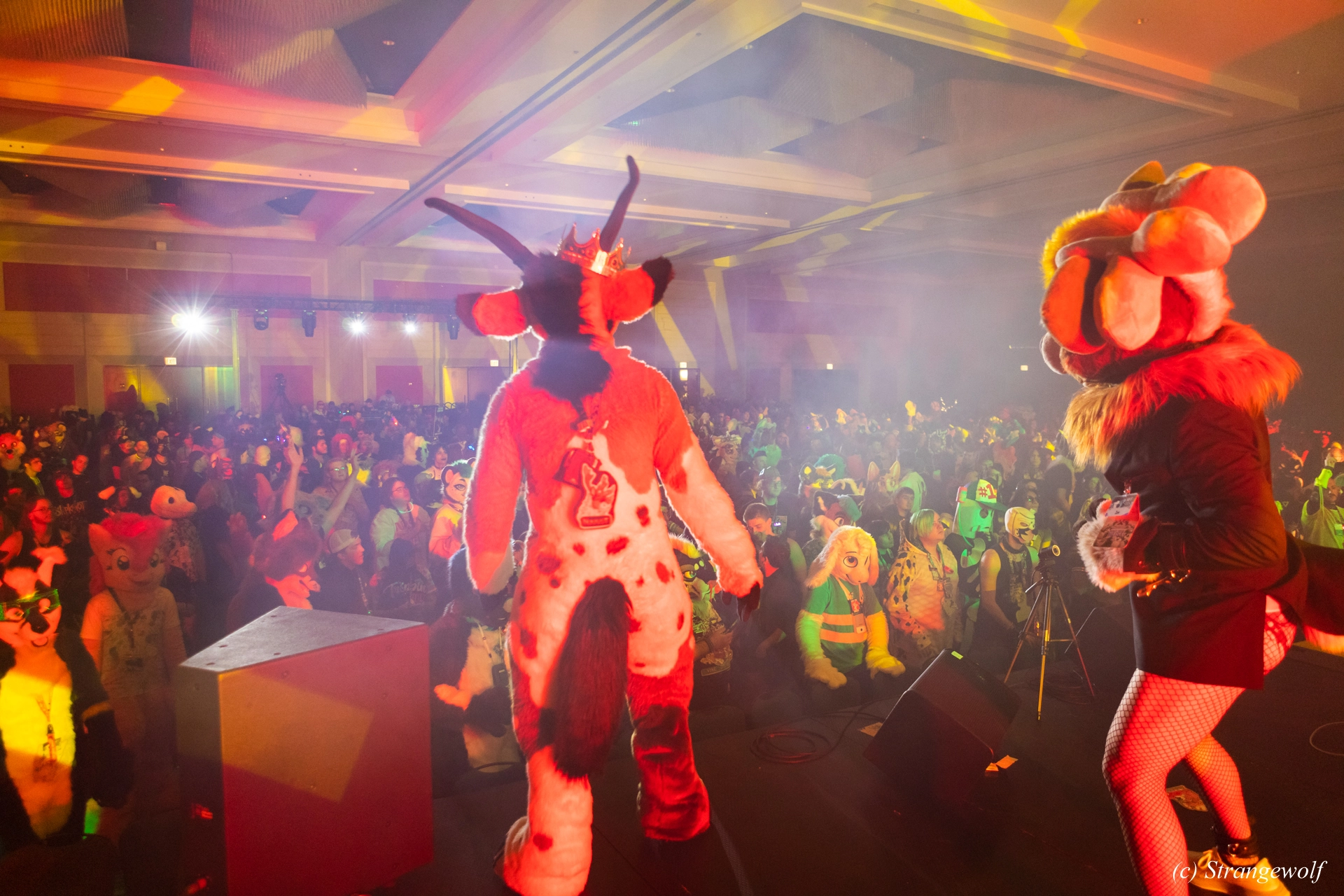 full image 1R3A4825-lr19t.jpg