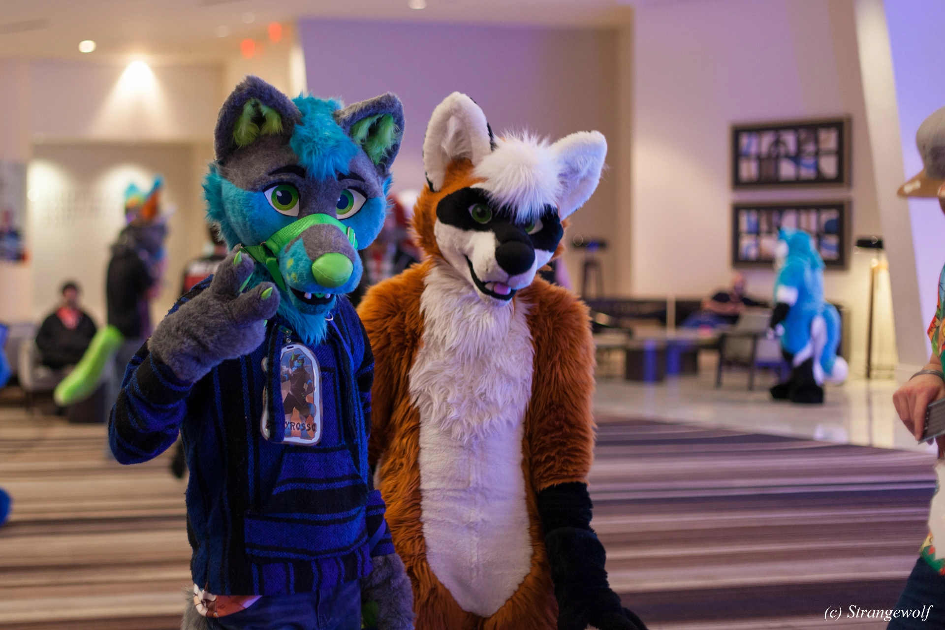 full image IMG_2007-lr19t.jpg